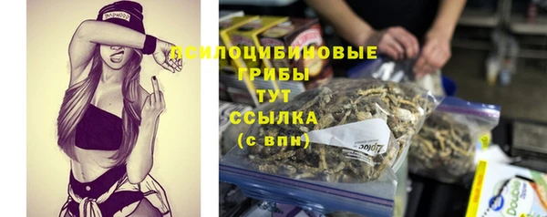 прущая мука Гусев