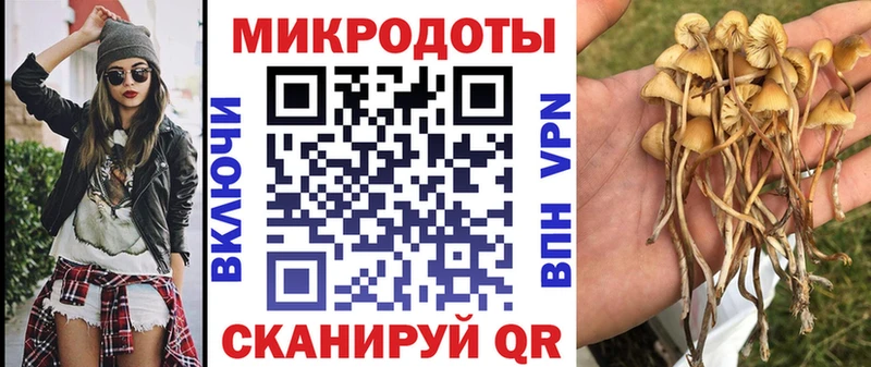 Галлюциногенные грибы Psilocybine cubensis  мориарти какой сайт  Меленки  закладки 